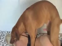 K9 lady’s shaved pussy fucked on a bathroom’s floor